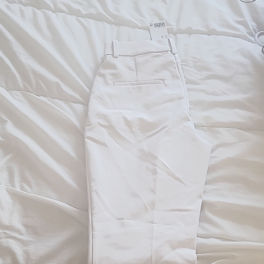 Dress pants